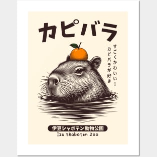 Capybara Hot Spring Japanese Onsen Posters and Art